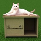 [AdoreMobilya] Kedi Evi Kampanyasi 